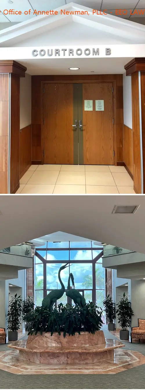 law office of annette newman pllc eeo lawyer fl