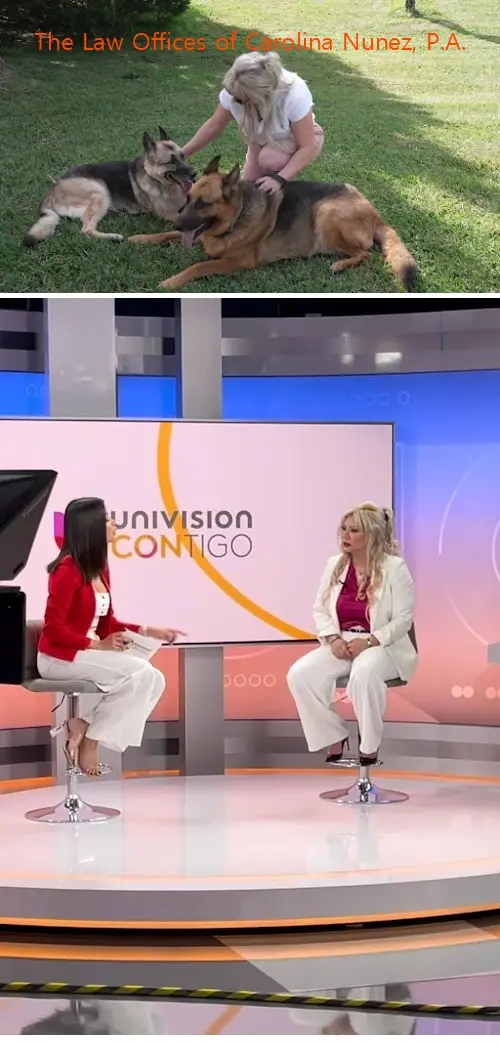 the law offices of carolina nunez pa fl 32792