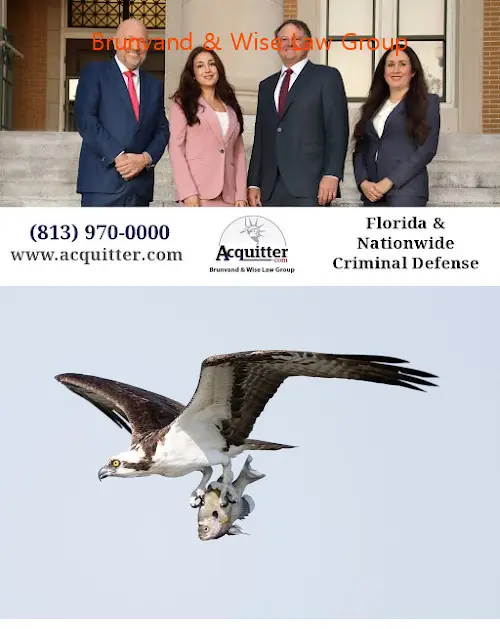 brunvand  wise law group fl