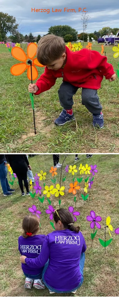 herzog law firm pc ny 12211