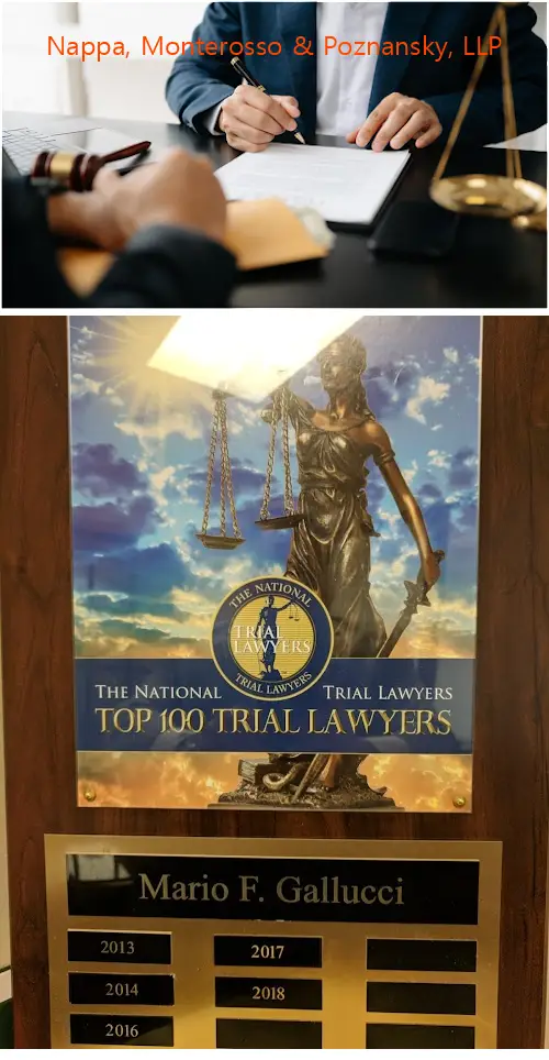 nappa monterosso  poznansky llp ny