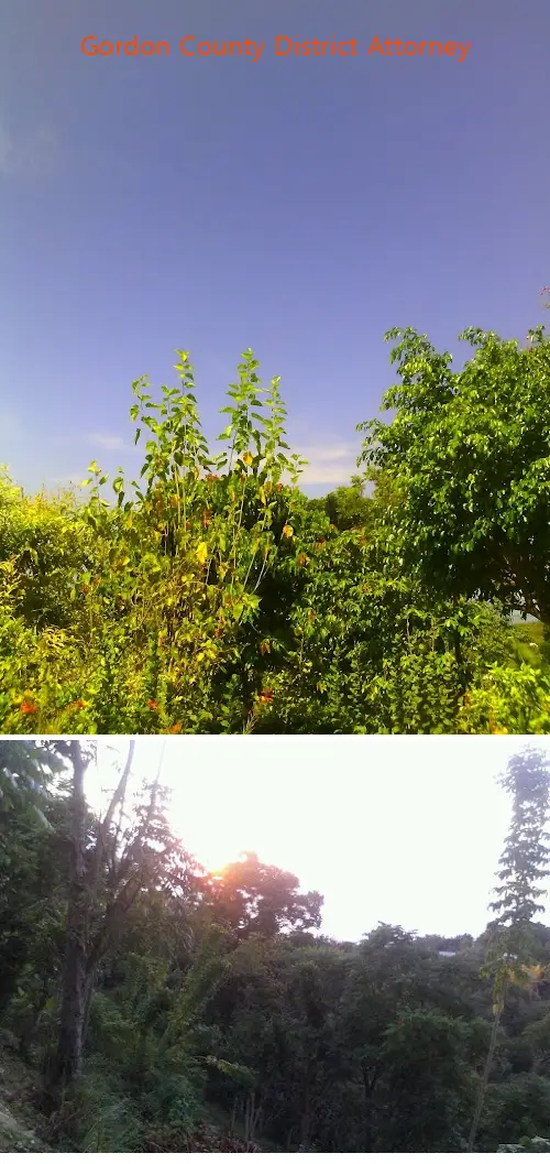 gordon county district attorney ga