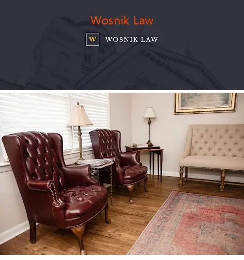 wosnik law ga