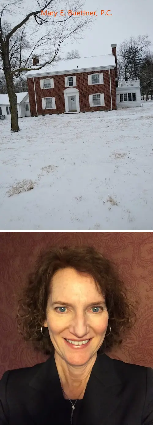 mary e buettner pc il