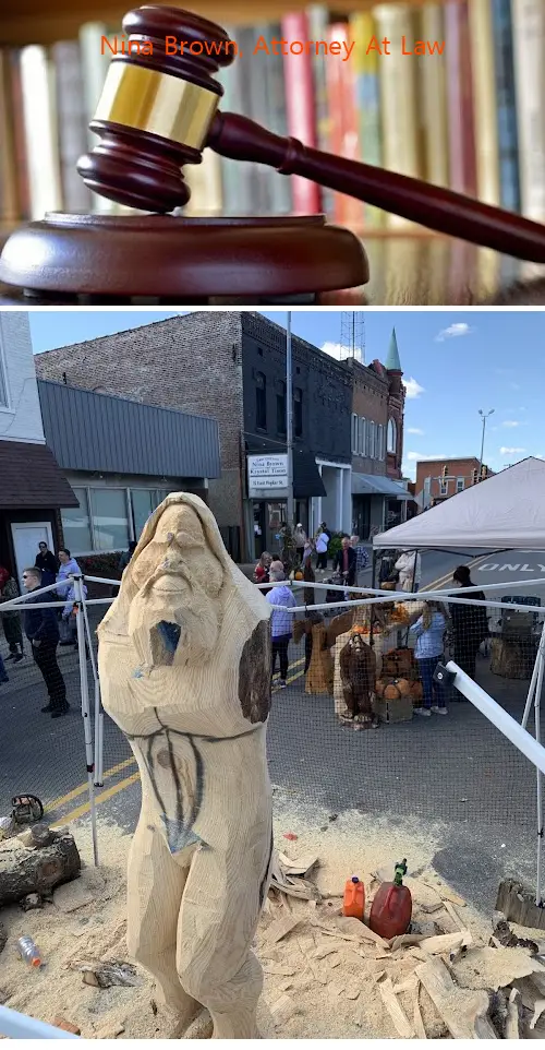 nina brown attorney at law il