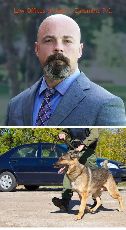 law offices of jack l zaremba pc il