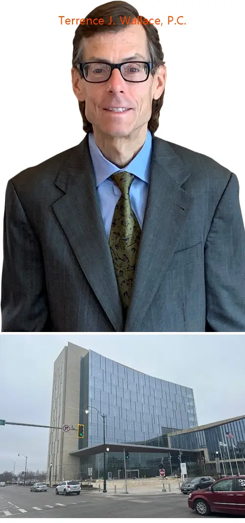 terrence j wallace pc il